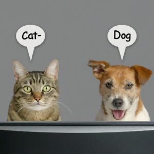 supervised learning indicating labels over cat and dog